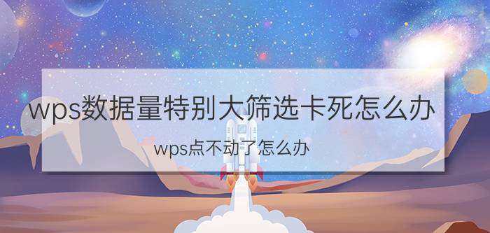 wps数据量特别大筛选卡死怎么办 wps点不动了怎么办？